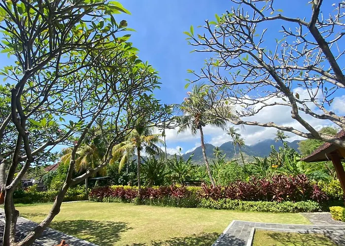 Badini Bali 2*