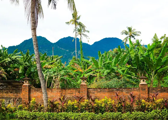 Badini Bali