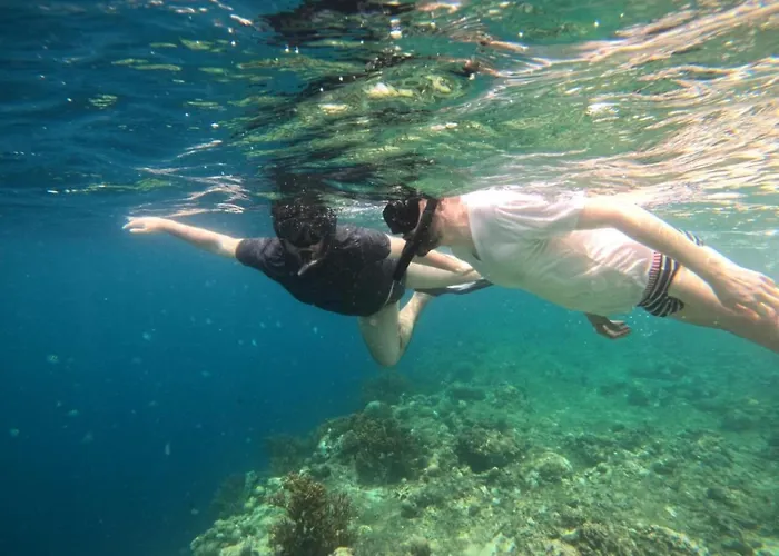 Badini Bali 2*