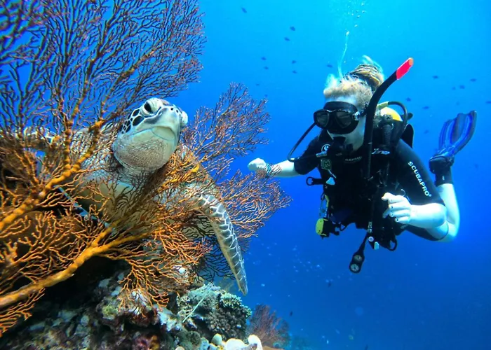 Badini Bali 2* Pemuteran